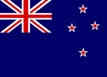 newz flag1